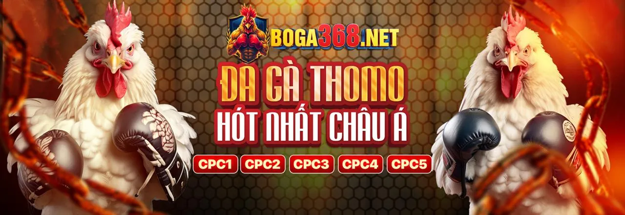 Đá Gà Trực Tuyến 98win 5